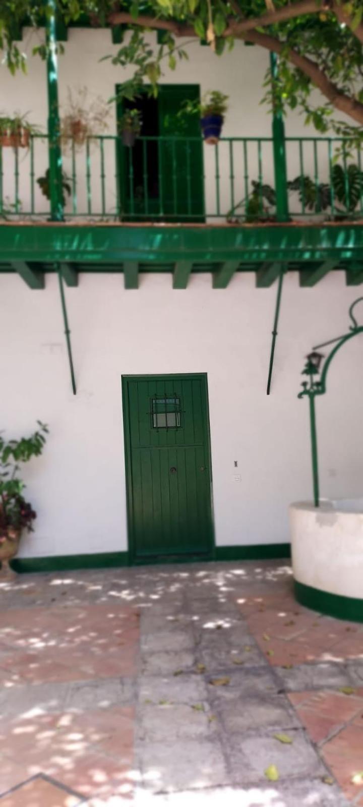 Setas Estudio Ii Apartment Seville